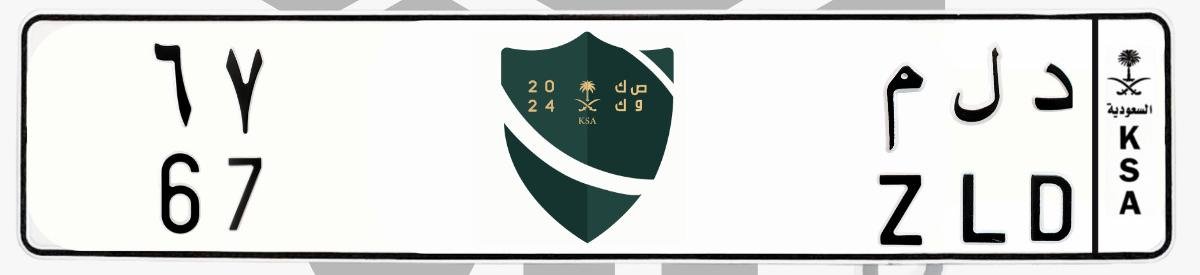 لوحة د ل م 67